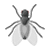 mosca